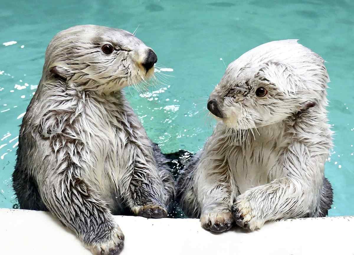 🐠 도바 수족관